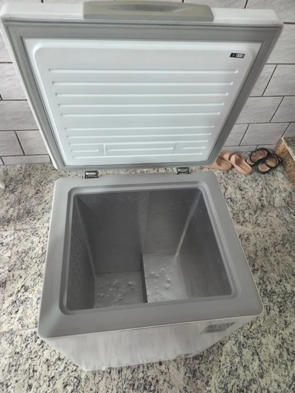Freezer Horizontal 