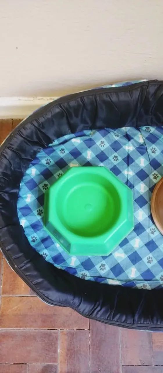 Kit para seu pet - Foto 4