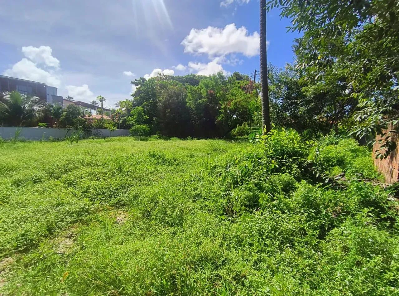 Excelente Oportunidade de lote - Pontal de Maracaípe - Foto 3
