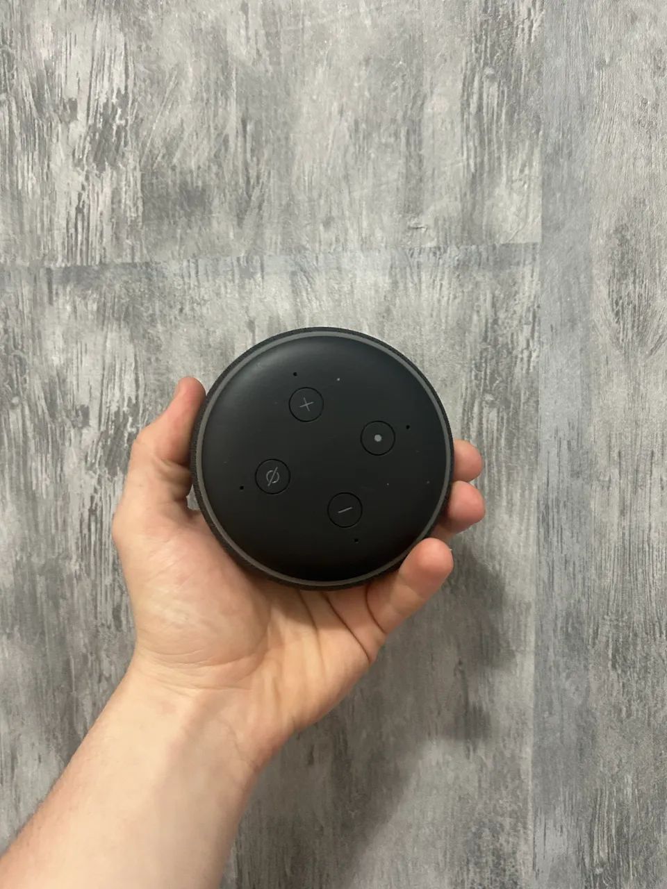 Alexa  - Foto 3
