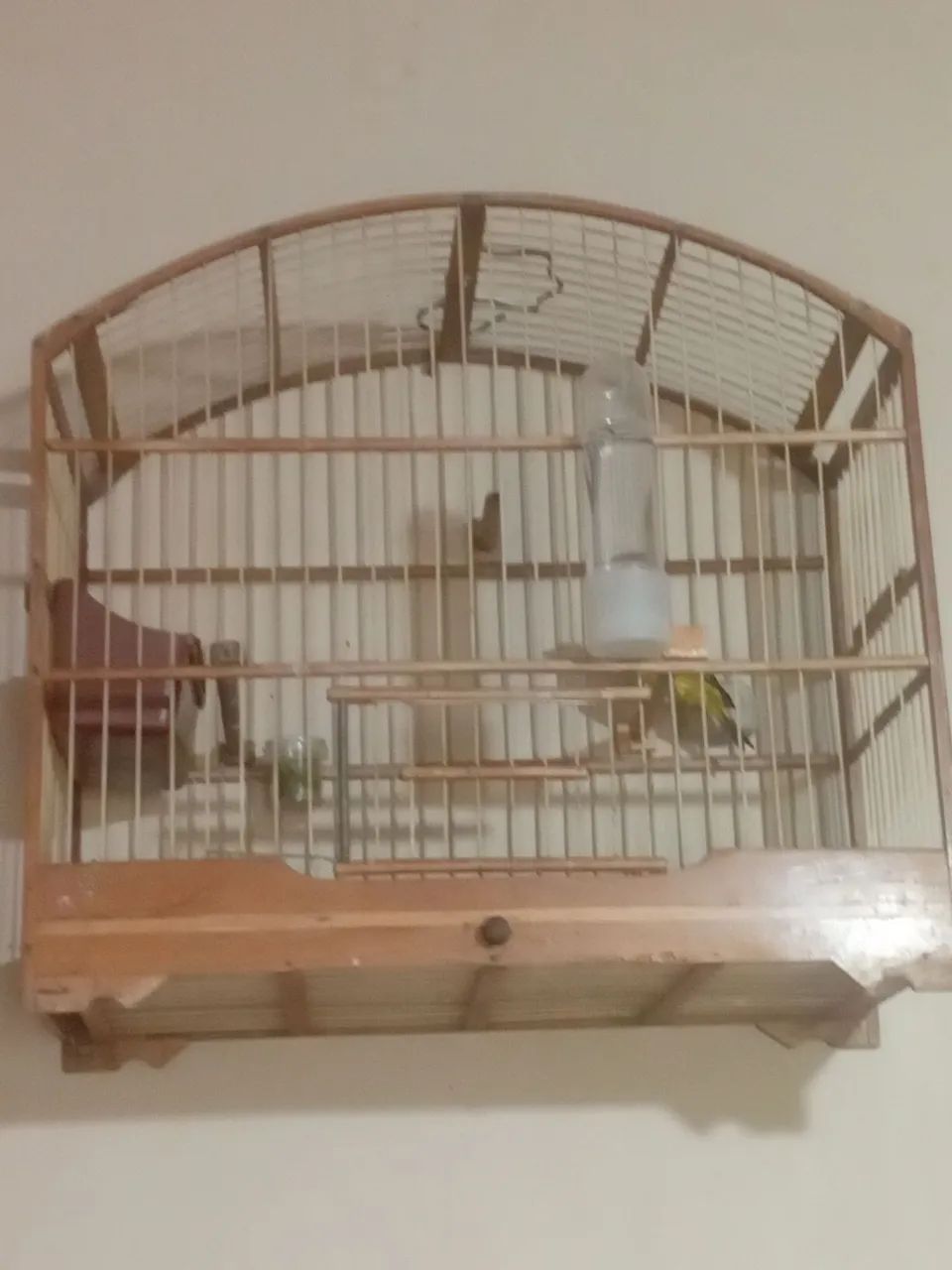 Gaiolas para vender  - Foto 3