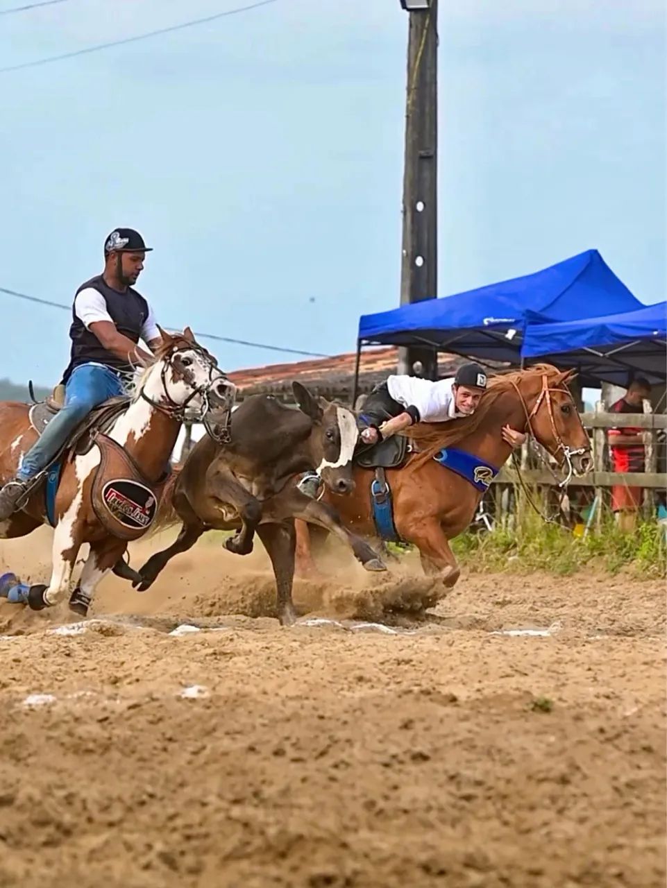 Cavalo de vaquejada (vendo ou troco em algo do meu interesse) - Foto 4