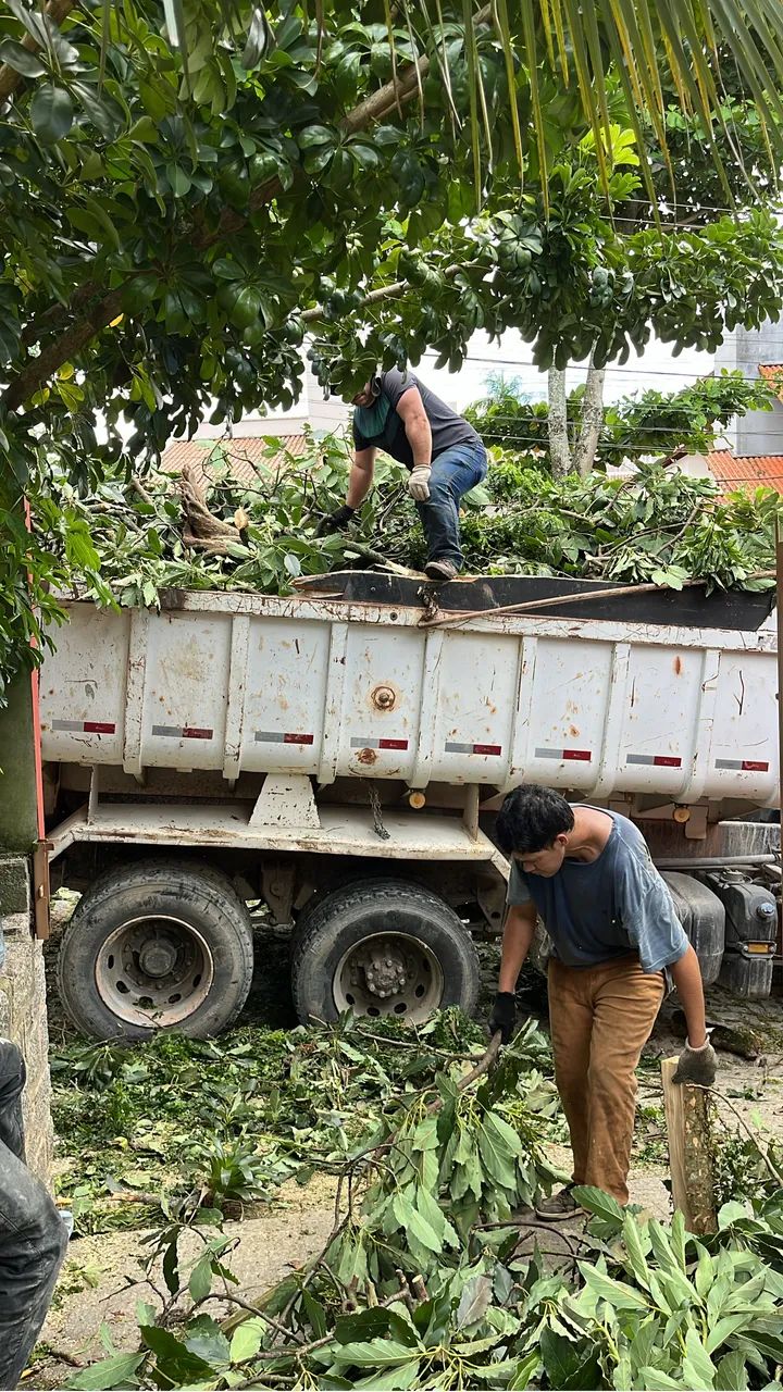 Poda e corte de árvores árvore perigosa podador retirada de árvores  - Foto 3