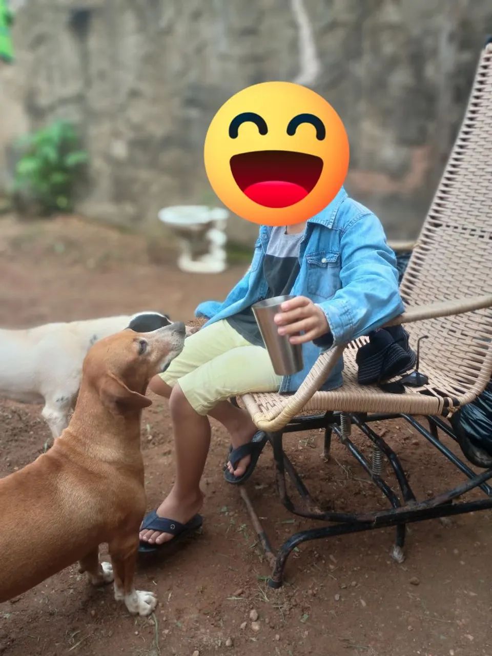 Doação responsável  - Foto 2
