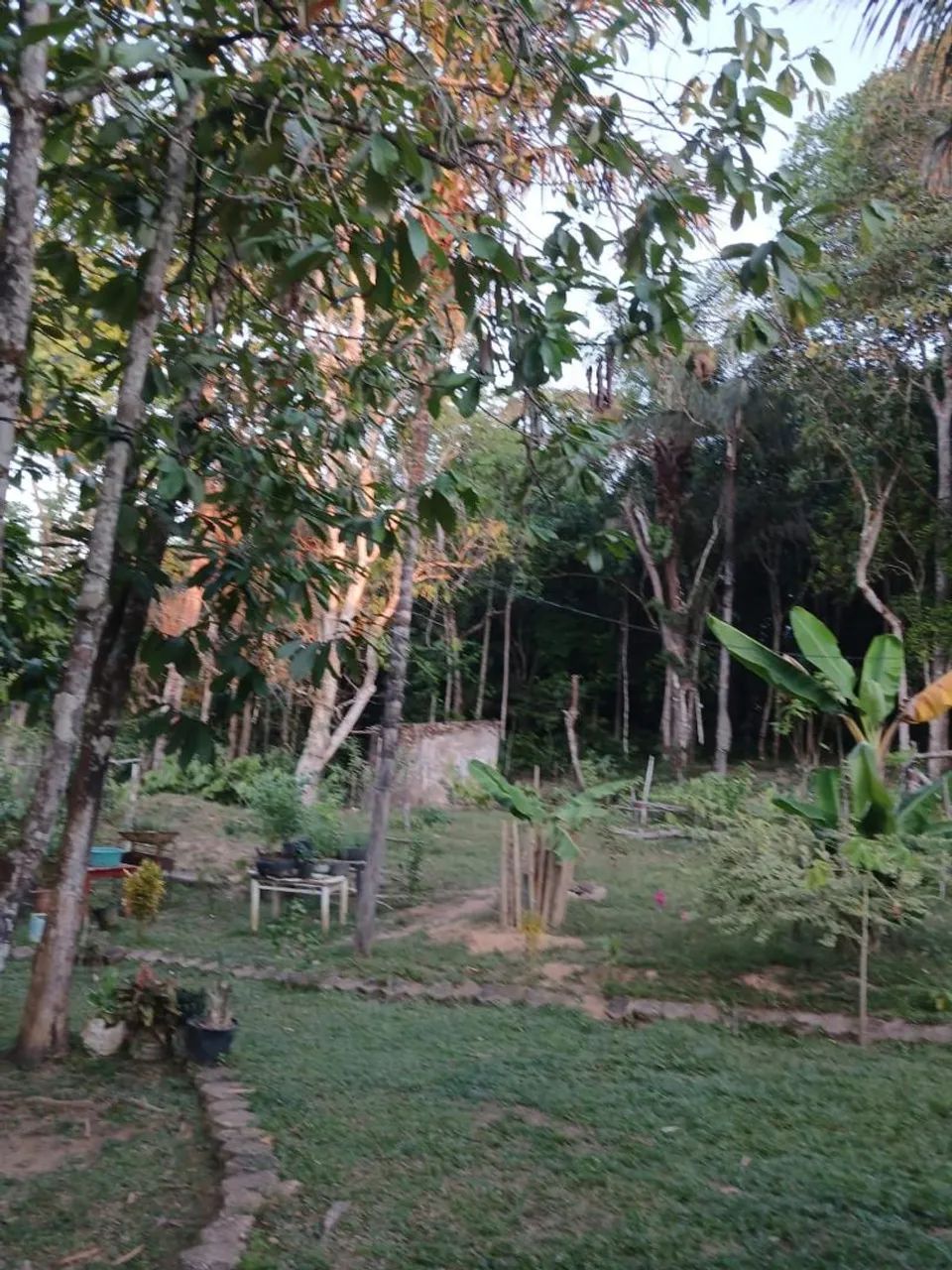 Chácara a venda  - Foto 5
