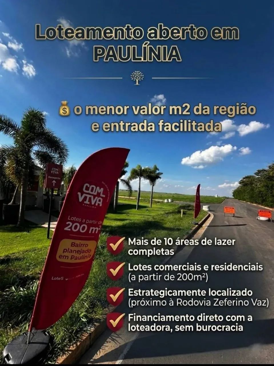 Foto - Campinas - Cambuí