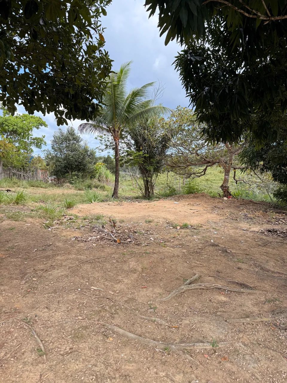 SÍTIO/CHACARA - Foto 4