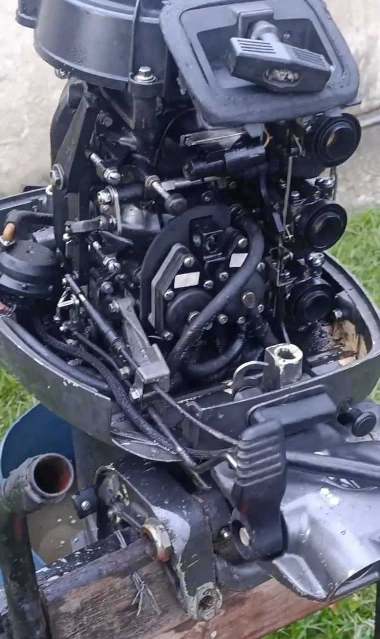 Johnson 35hp 3cilindros 