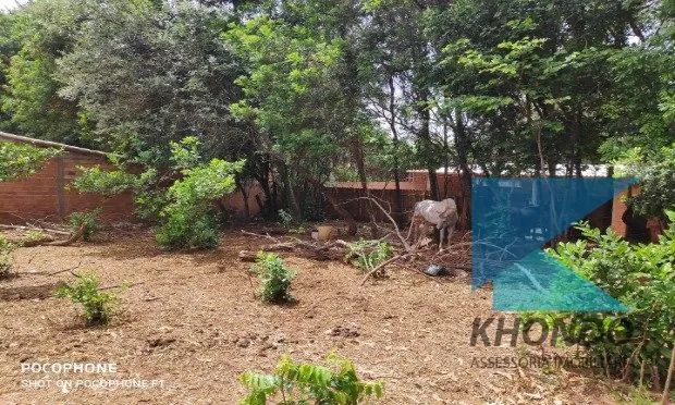 Terreno ideal para chácara em Itapeva - Foto 3