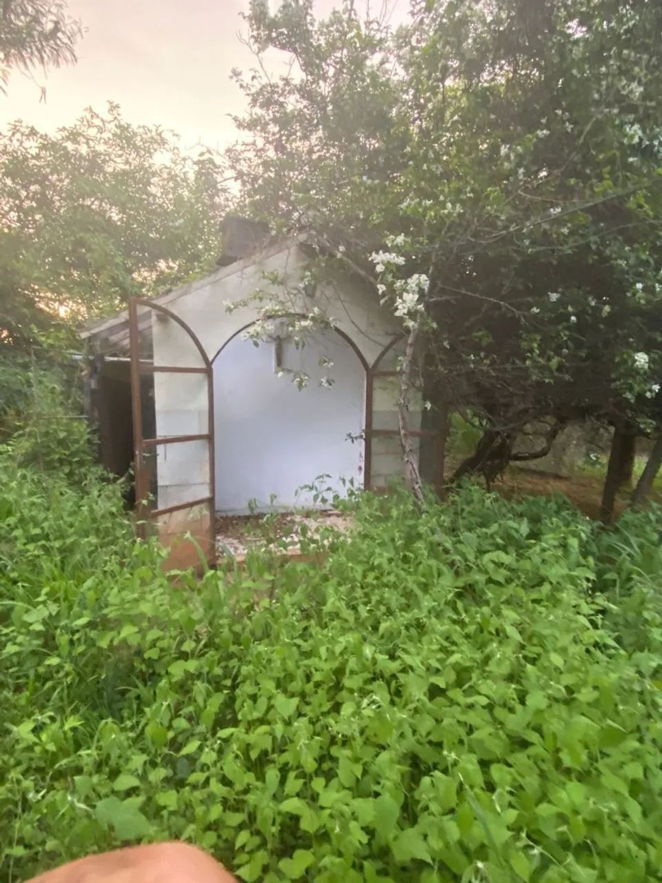 Vendo ou troco sitio - Foto 5