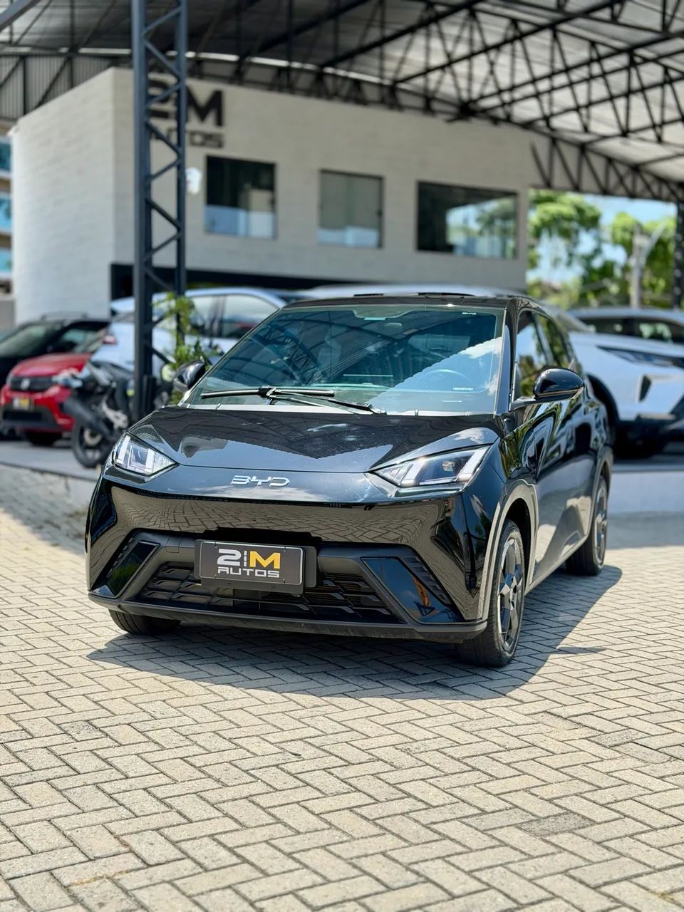 BYD Dolphin Mini (Elétrico) 2025