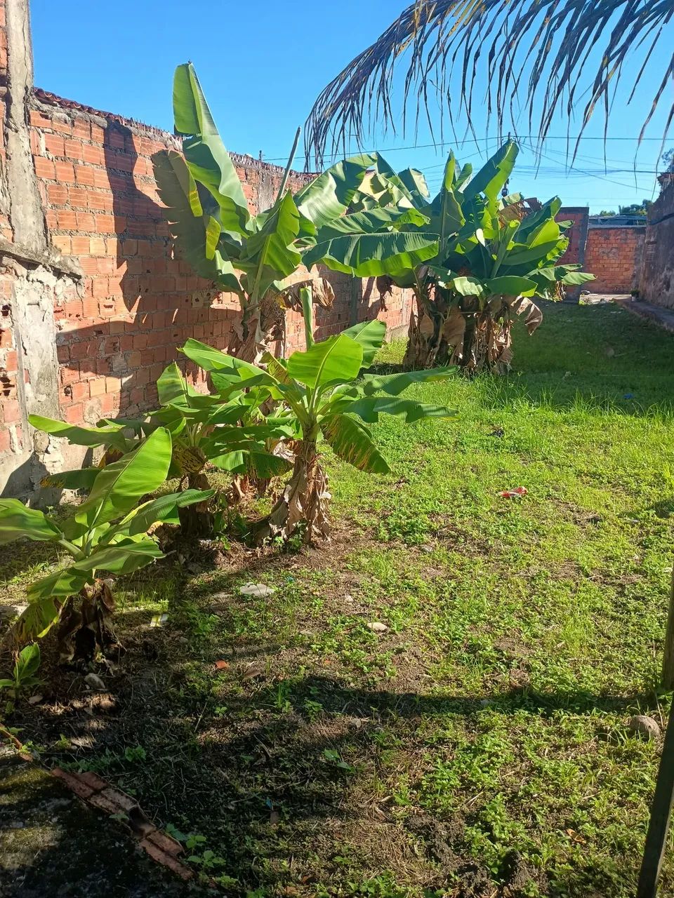 Foto - Dias DÁvila - 