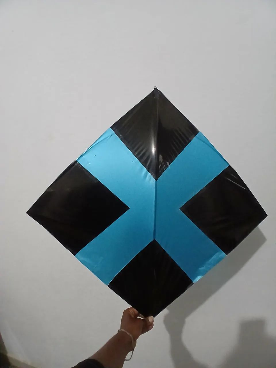 Papagaios - Foto 2