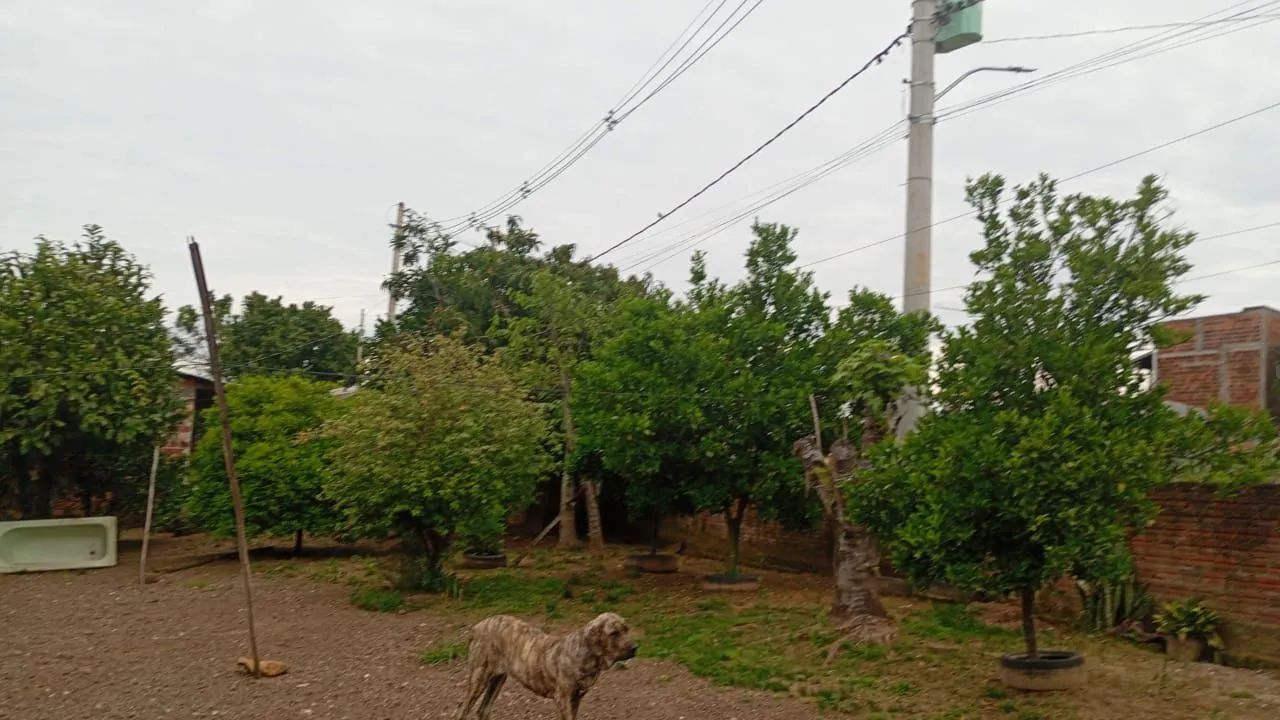 Chácara - Foto 3