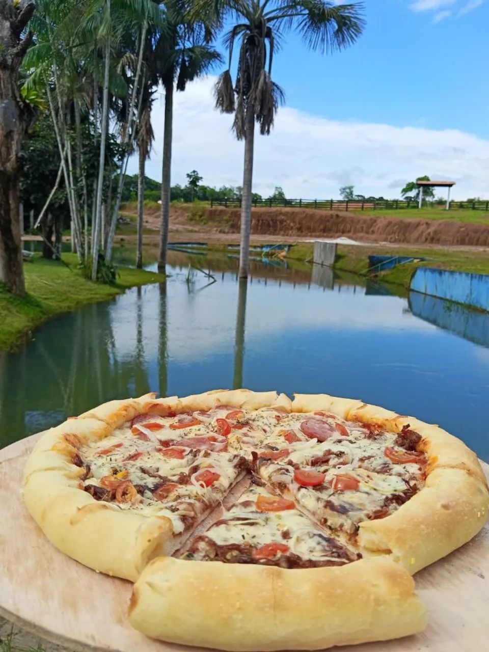                PIZZARIA DE SUCESSO 