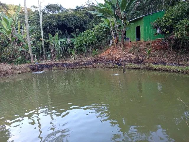 Sítio em Altamira Itororó ba - Foto 5