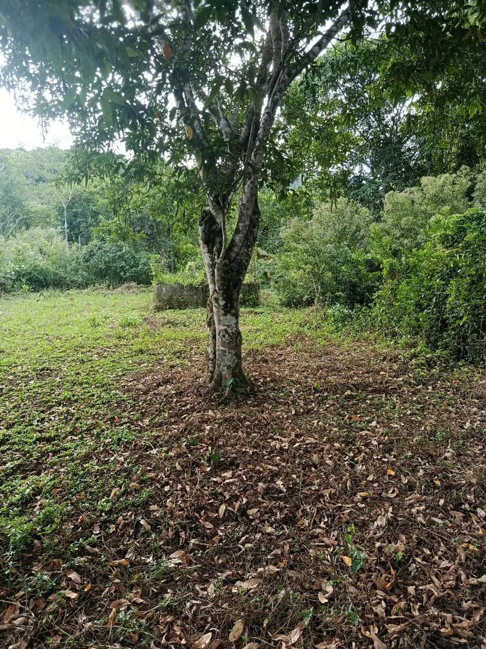 TERRENO NA PRAIA DE PERUÍBE!!! - Foto 3