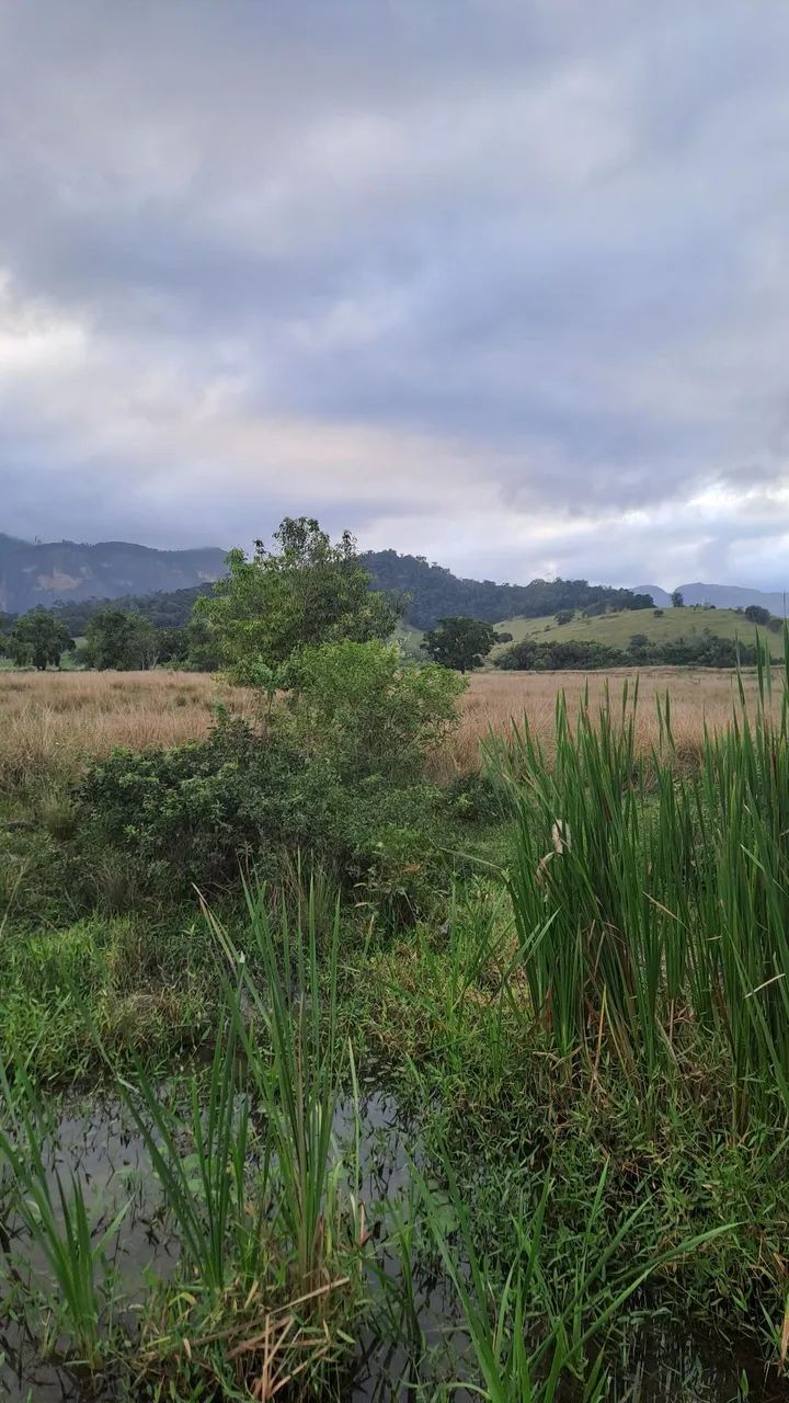 Terreno   - Foto 5