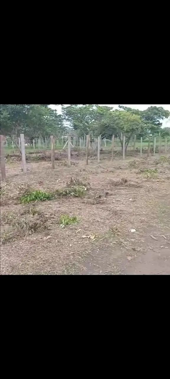 Foto - Santarém - Centro