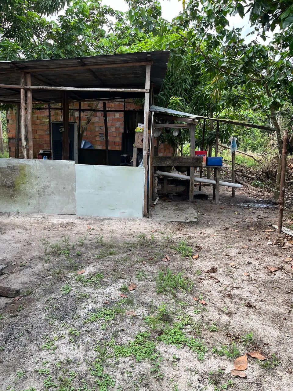 Sítio a venda  - Foto 3
