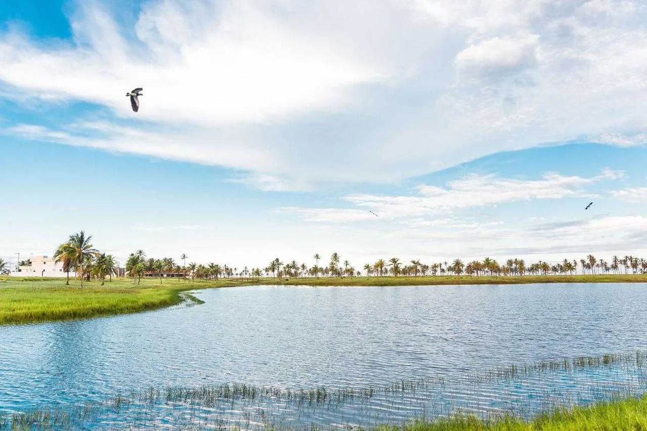 Lote no Damha - Fundo Lago [58041] - Foto 4