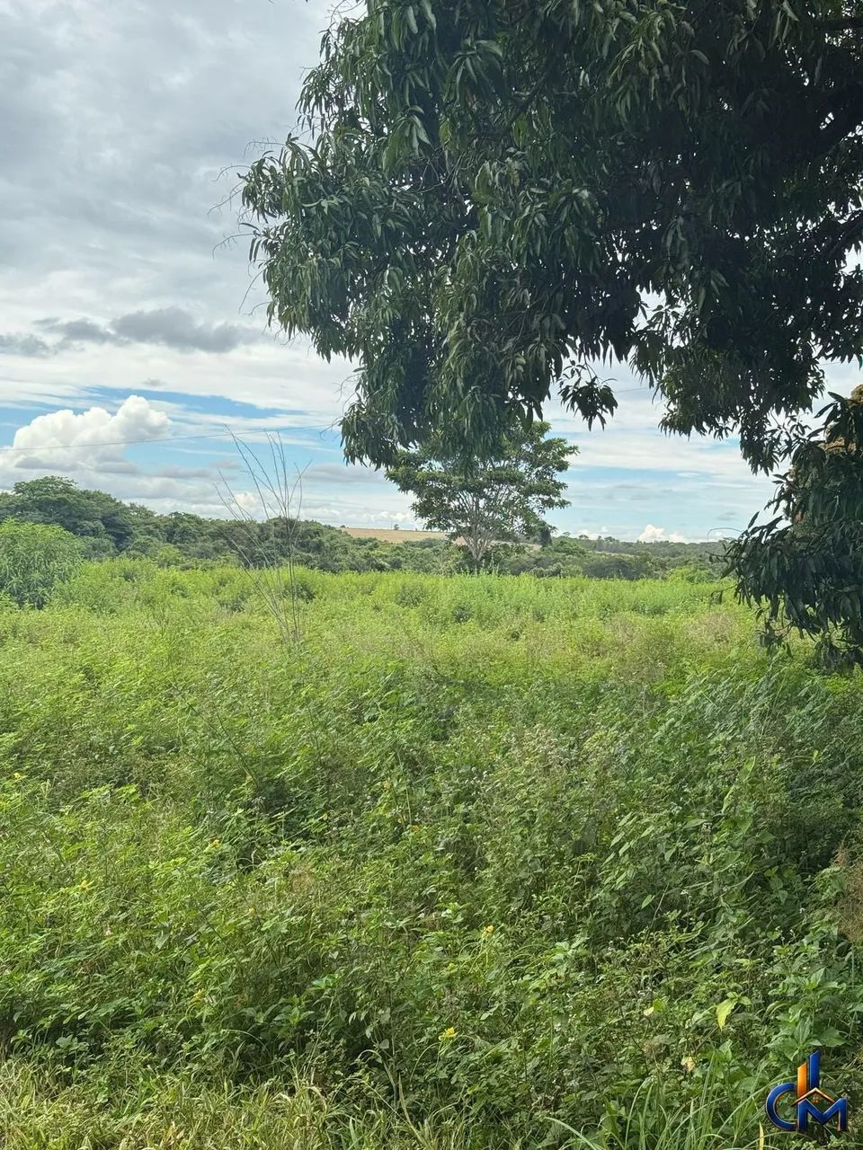Fazenda em Porto Gauchos