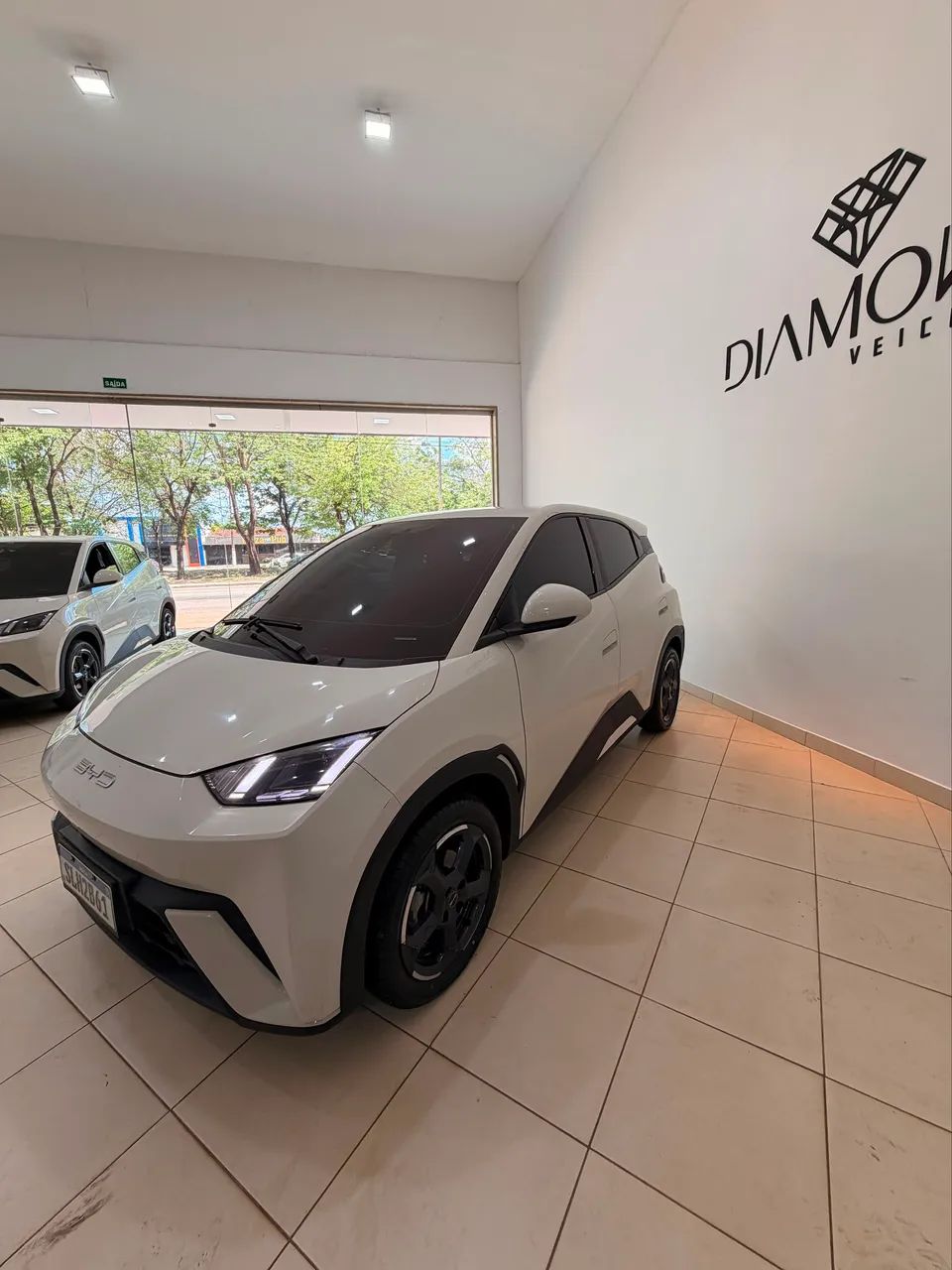 BYD Dolphin Mini (Elétrico) 2025 - Foto 3