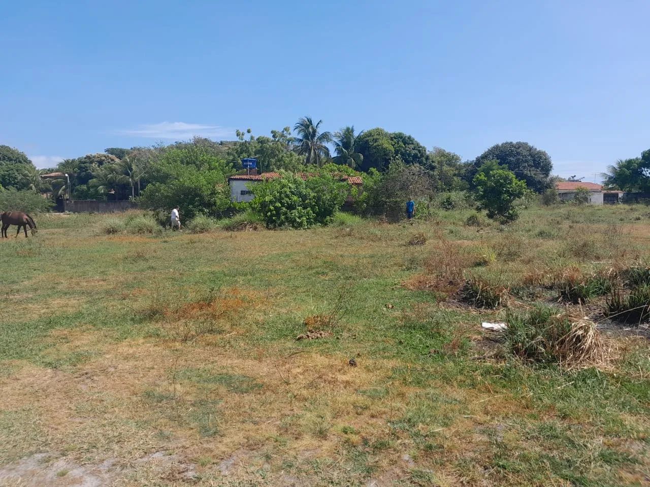 Terreno em Catuama - Foto 3