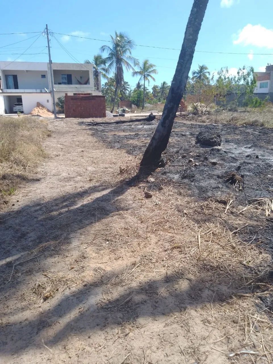 Terreno em Maragogi  - Foto 3