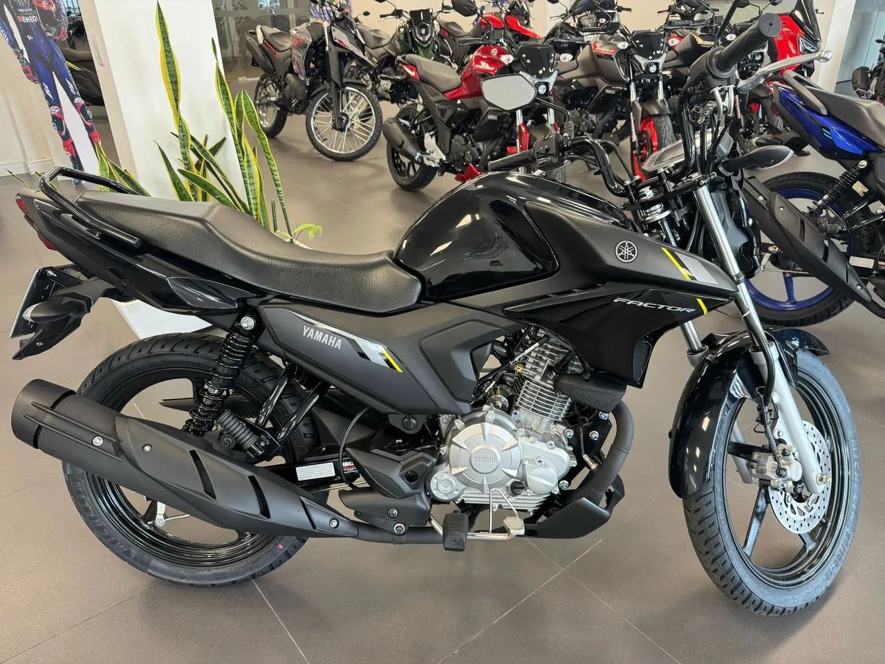 Factor 2026 - Foto 3