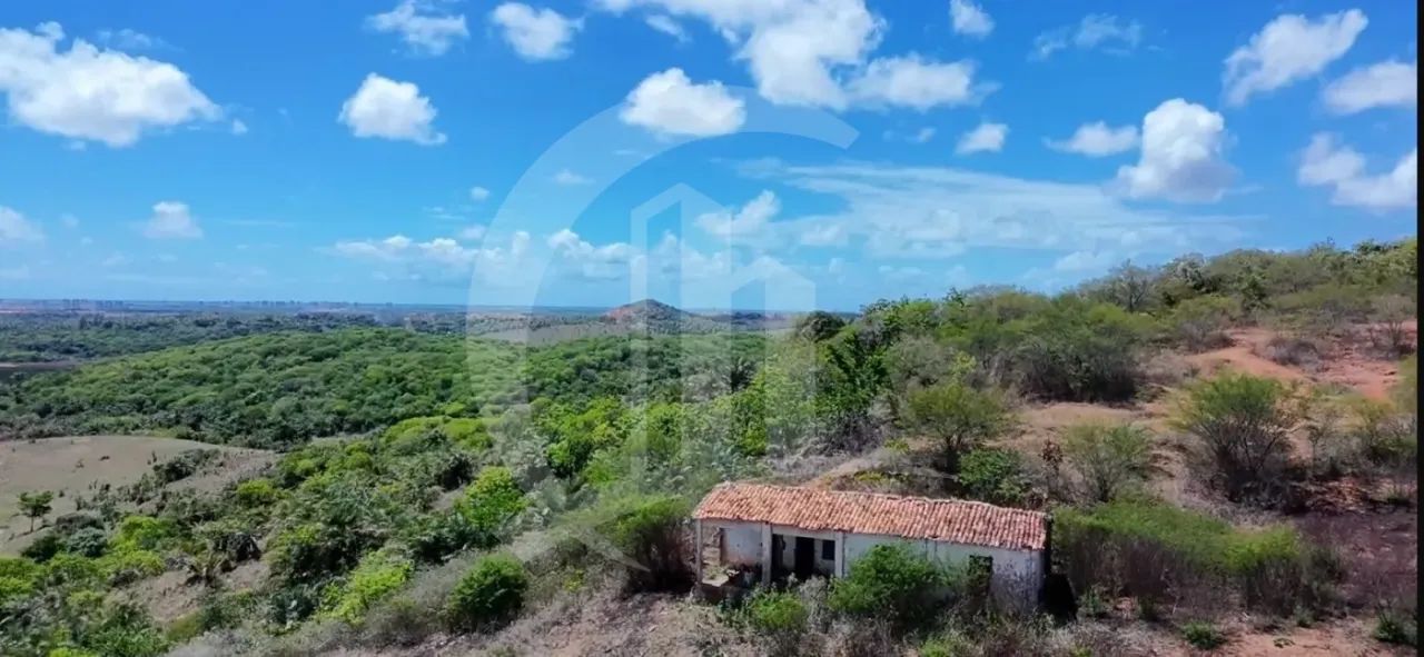 Excelente Oportunidade para Investidores: Terreno de Grande Porte no Sítio Cabrita, São Cr - Foto 9