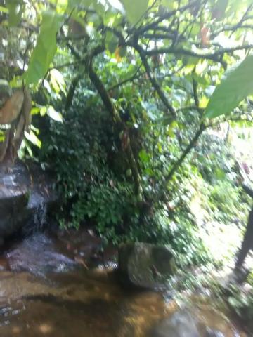 Vendo fazenda em Wenceslau Guimarães - Foto 2