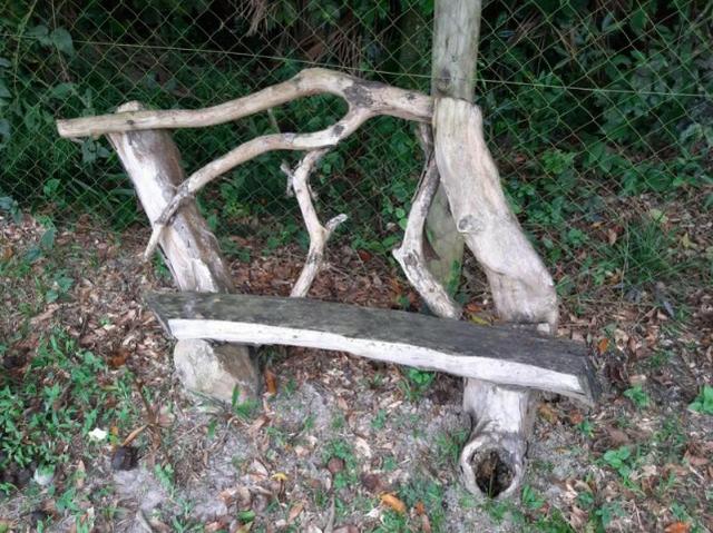 Chácara em Piçarras - Foto 15