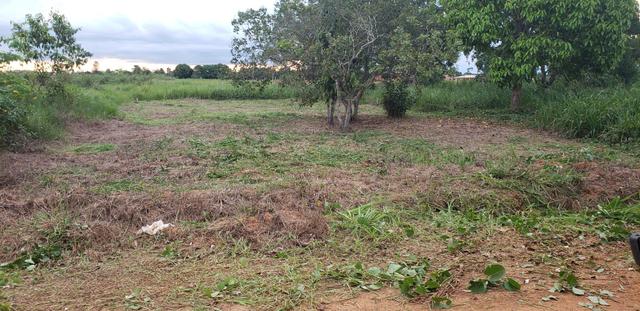 Terreno - Foto 3