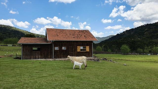 Sítio em Urubici/chácara em Urubici/área rural em Urubici - Foto 2