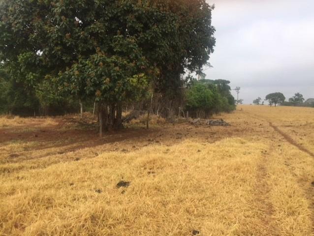 Fazenda 20 - Foto 12