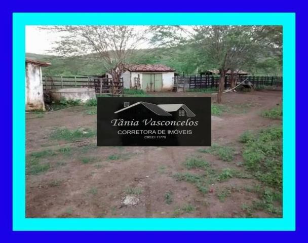 Fazenda Próximo Avencas por 15 mil ,cada Hectares ,Agende já sua Visita ! - Foto 10