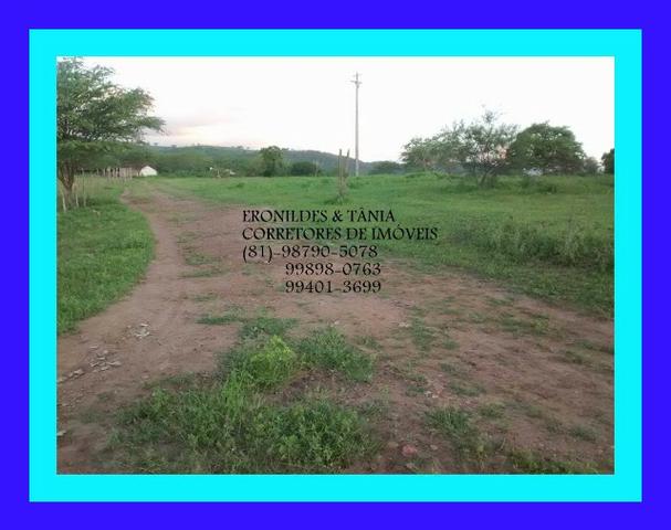 Fazenda Próximo Avencas por 15 mil ,cada Hectares ,Agende já sua Visita ! - Foto 11