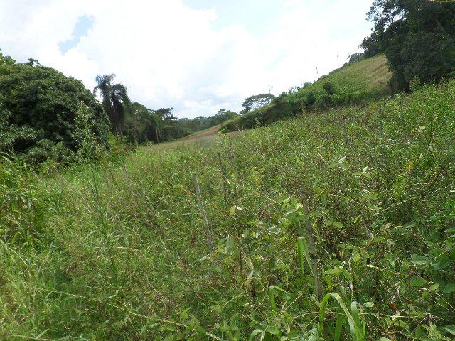 154 - Área de terra em Providência - Foto 6