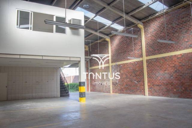 Barracão para alugar, 245 m² por r$ 2.700,00/mês - iná - são josé dos pinhais/pr - Foto 10