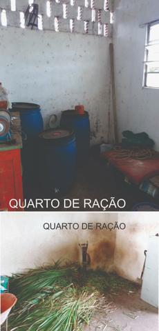 Sitio, Chácara - Foto 10