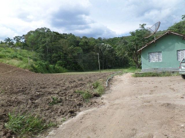 154 - Área de terra em Providência - Foto 13