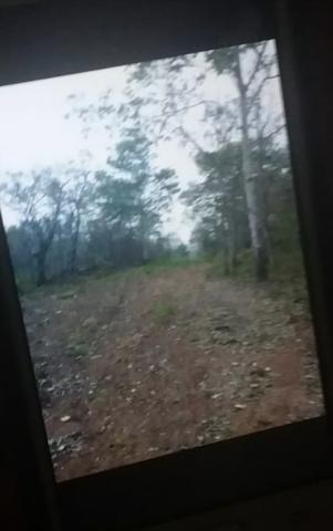 Lotes próximo à duas cachoeiras MT - Foto 5