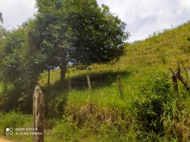 Vendo Fazenda em Rio da Prata - Distrito de Guarapari - Foto 17