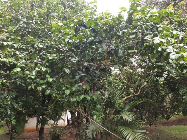 Sitio a venda em Andana-Guarapari ES com 2 - Foto 17