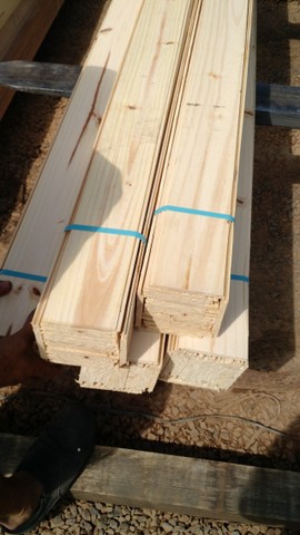 Forro de Pinus