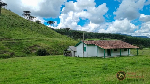 Sítio com 18.4 Hectares - Foto 2