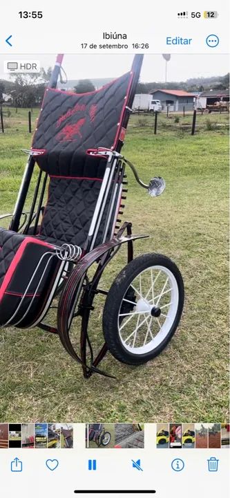 cavalo american trotter 8 anos - Foto 4