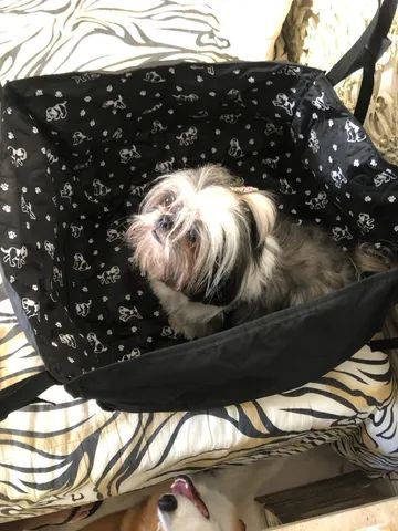 Cadeirinha automotiva para pets - Foto 2