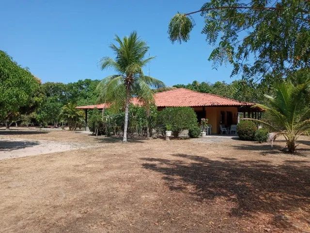 Sítio em Teresina - Povoado Árvores Verdes - Amc Imobiliária - Foto 2